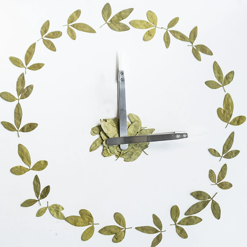 Весенний лист сушеный цветок Материал Упаковка тиснение DIY чехол для телефона фоторамка украшение детский сад ручной работы Закладка Настольная лампа DIY