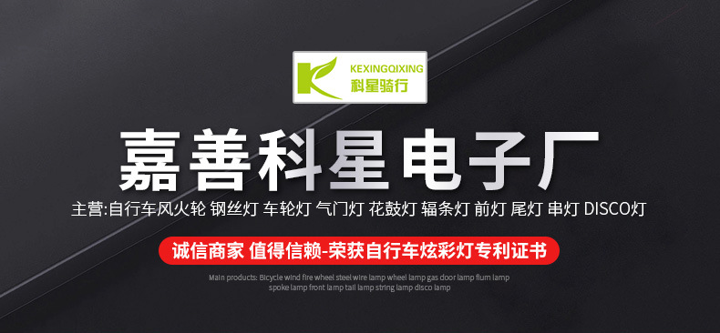 嘉善科星电子厂-详情_01