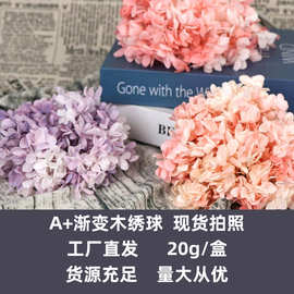 永生花渐变木绣球20g/盒绣球真花干花小礼品DIY花材厂家直发