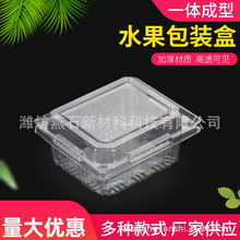 厂家批发250g水果盒 PET果盒 水果吸塑盒 吸塑包装盒 塑料糖果盒