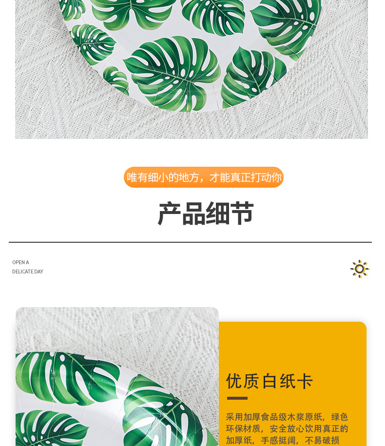 豹纹9寸纸盘_08.jpg