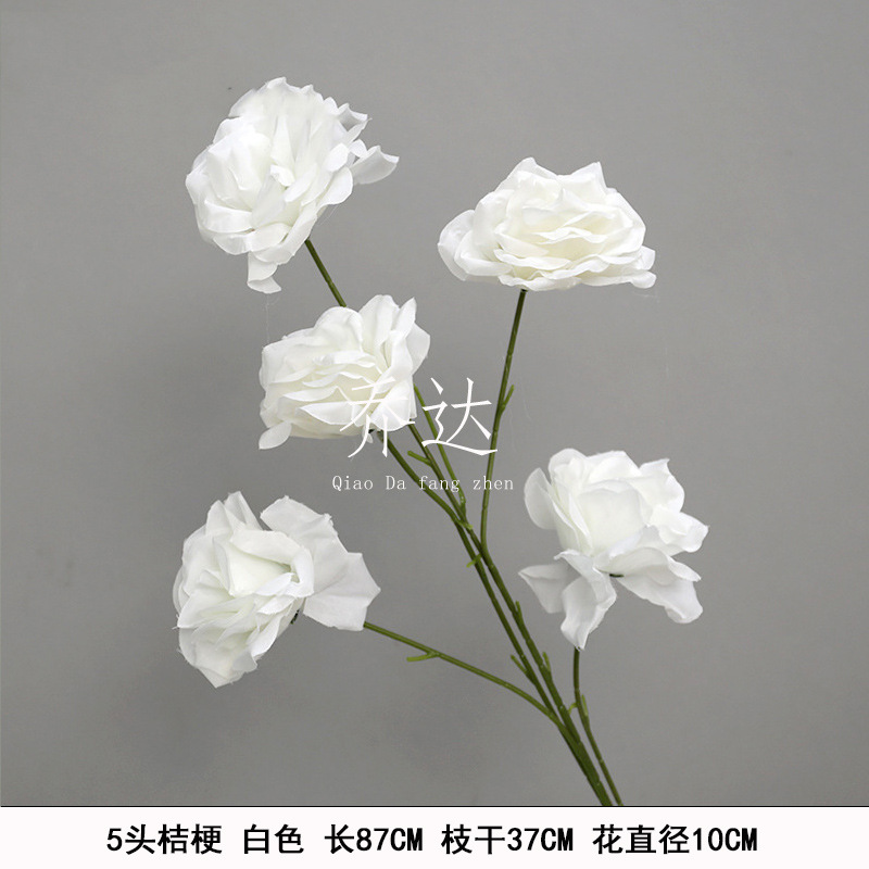 5 Platycodon grandiflorum