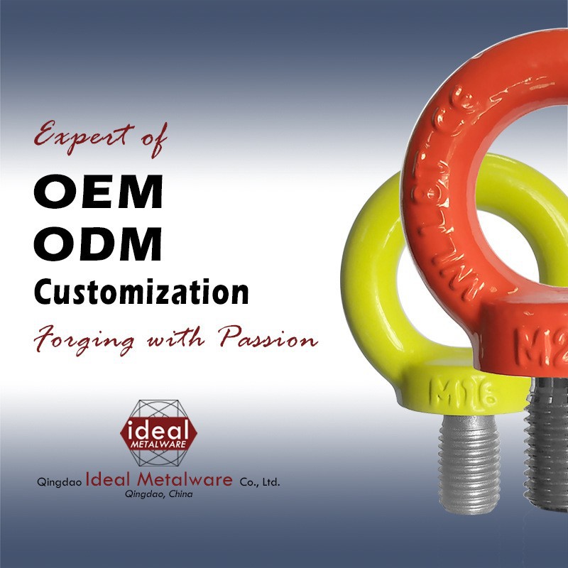 厂家直供304不锈钢吊环螺丝/316吊环螺钉M48/DIN580图纸