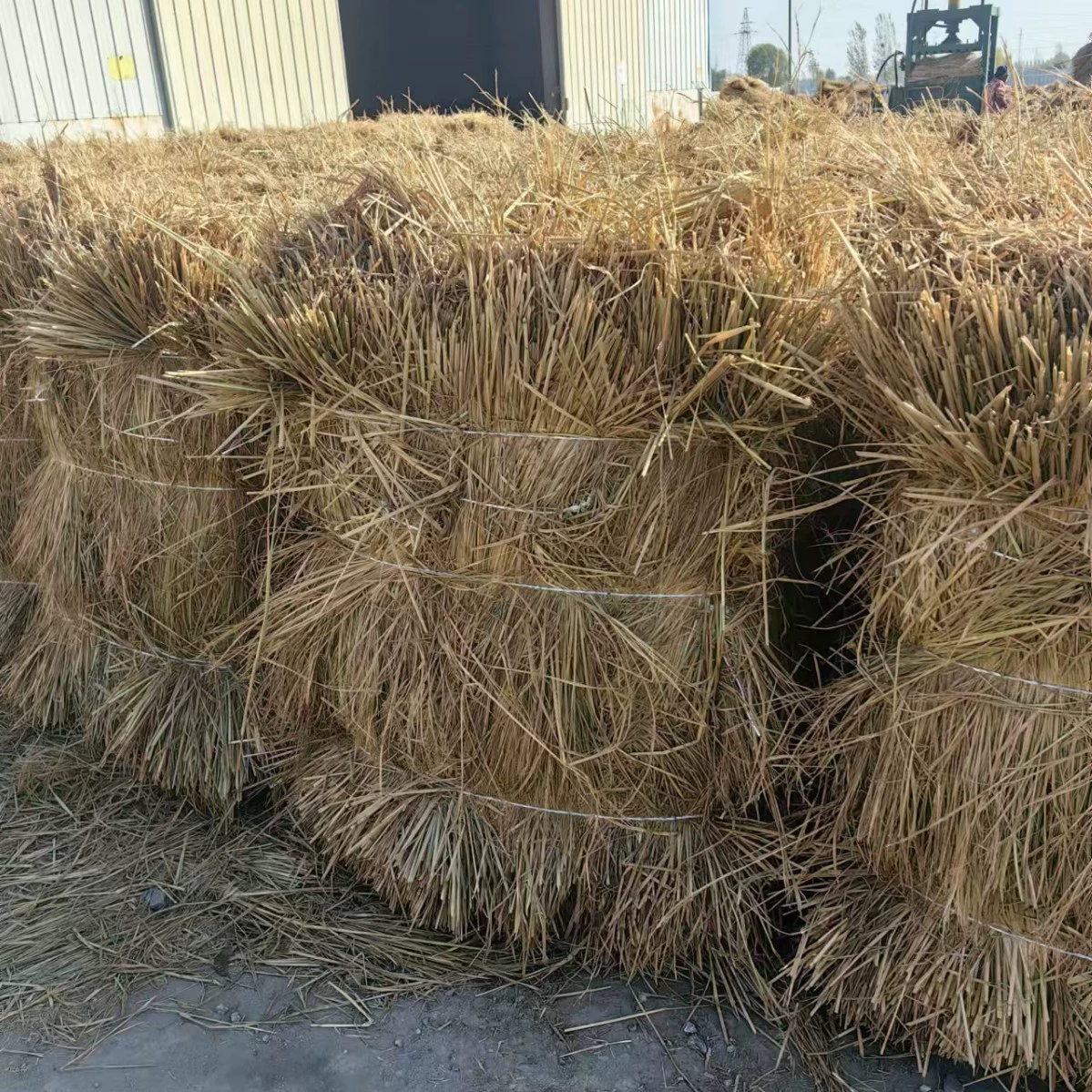 Песчаная солома в северо-западном регионе Тибета, Цинхай, пустыня