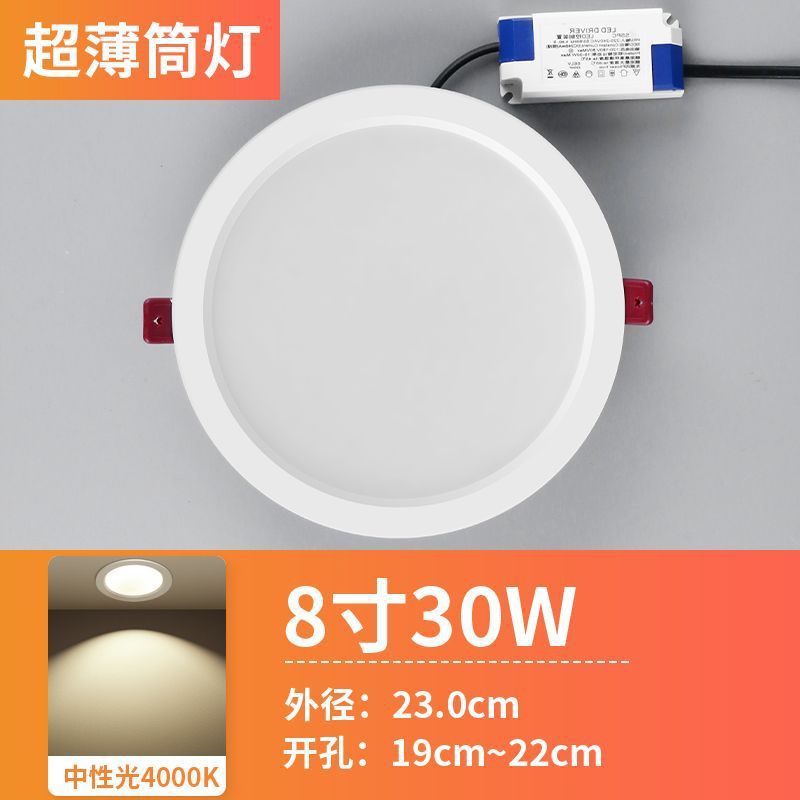 Flagship Aluminum 30W Neutral-Open Hole 190 to 220