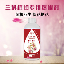 厂家供应八个老头兰花专用营养液室内盆栽肥料兰花爆根剂植物通用