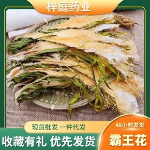 �F؛���� ��؛������ ��G���� ��؛ș�� ���l �V�|�خa �Ҝ���Ʒ