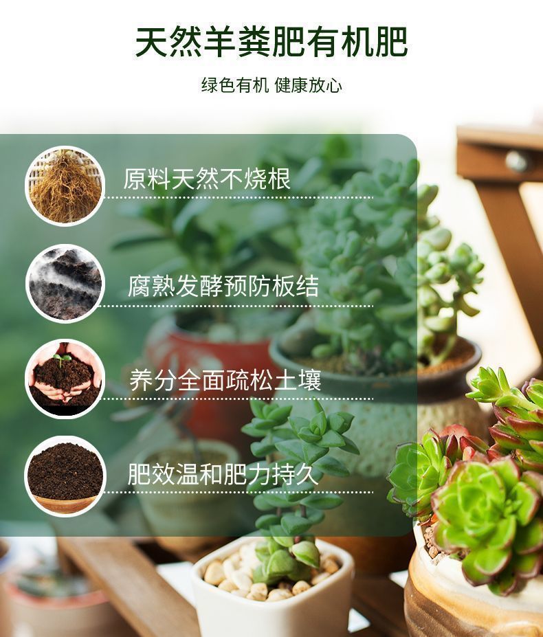 fc3ca8e0-39e6-46e2-873e-6e784ae7bb97.jpe