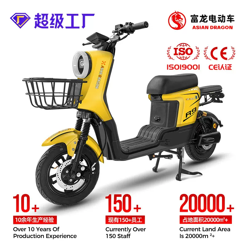 R9款 伊拉克定制 电动车源头工厂 电瓶车厂家电动自行车源头出口