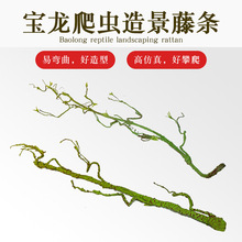 ����׃ɫ�����x��Ꭷ�����쾰���Ϸ���ֲ���ٗl������������