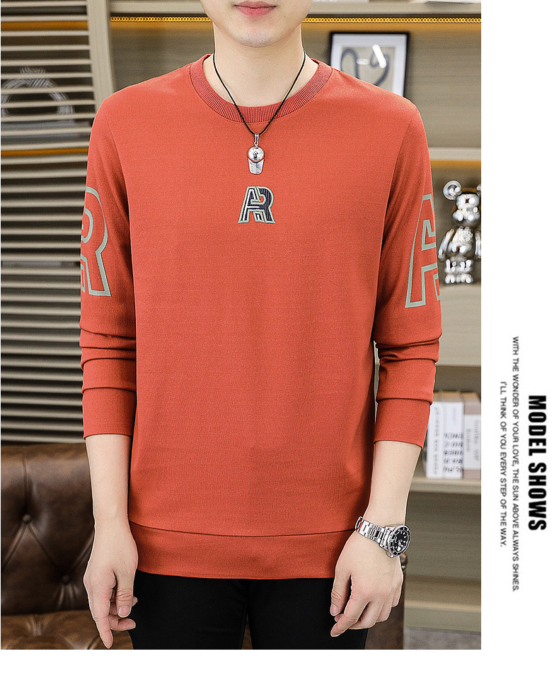 Frühlings-Hoodies für Männer, Slim-Fit-Trend, Hemd mit Rundhalsausschnitt für junge und hübsche Herbst-Langarmshirts_voghion.com
