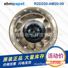 R2D250-AM20-09 ebm离心风机Y400V 0.30A 170W 2700转 带温度感应