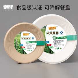 一次性餐盘圆形独立装环保纸盘可降解野餐便携盘子碟子纸盘水果盘