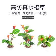 批发鱼缸造景饰品水族箱装饰高仿真水草水榕懒人盆景创意摆件