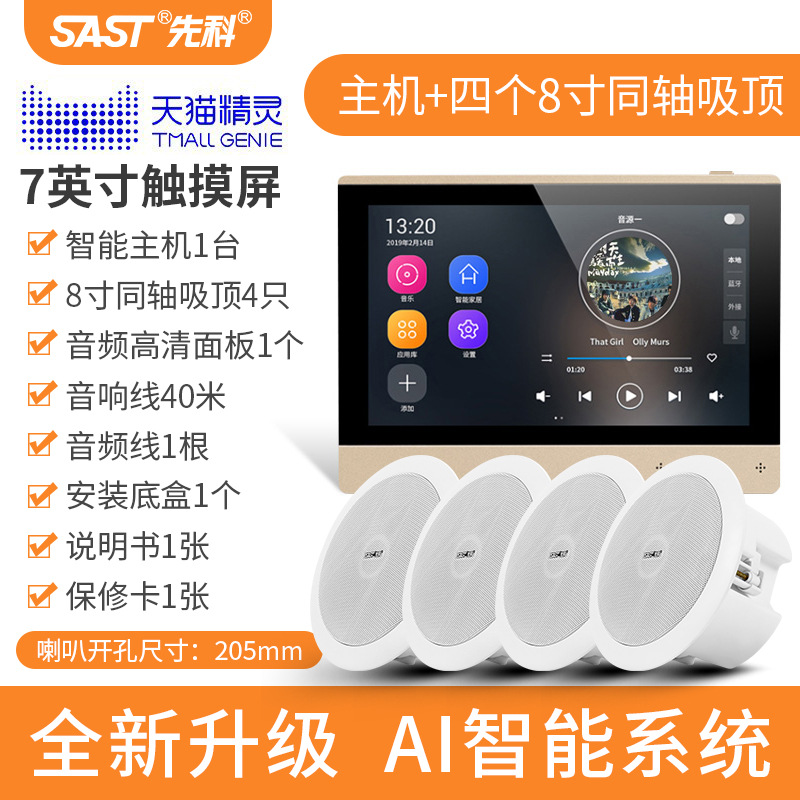 [내장 Tmall Elf] 호스트 + 4 8inch Audiophile 동축 천장 스피커