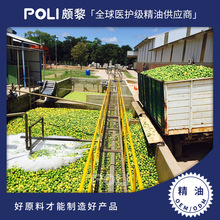 ������M���ЙC���ʾ����M��ԭ������Ժ�o�w�����M�چη�����ԭ��