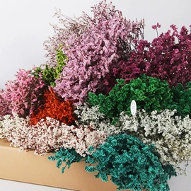 干花;永生花;鲜花花艺制品