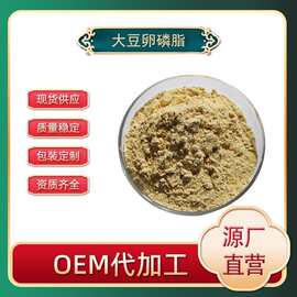 现货磷脂 营养强化剂 磷脂粉 大豆卵磷脂原料粉末 PC 磷脂酰胆碱