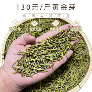 �S��ѿ���~�Լ����㽭2025���²���ζ�־��Ͷ���G��ɢ�b���l�ͶY