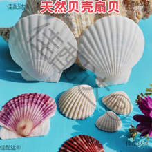 ?��Ȼ��ɫؐ��DIY�ֹ������T�f�N�����������Ĵ����ؐ