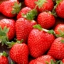 盆栽观赏食用四季种籽