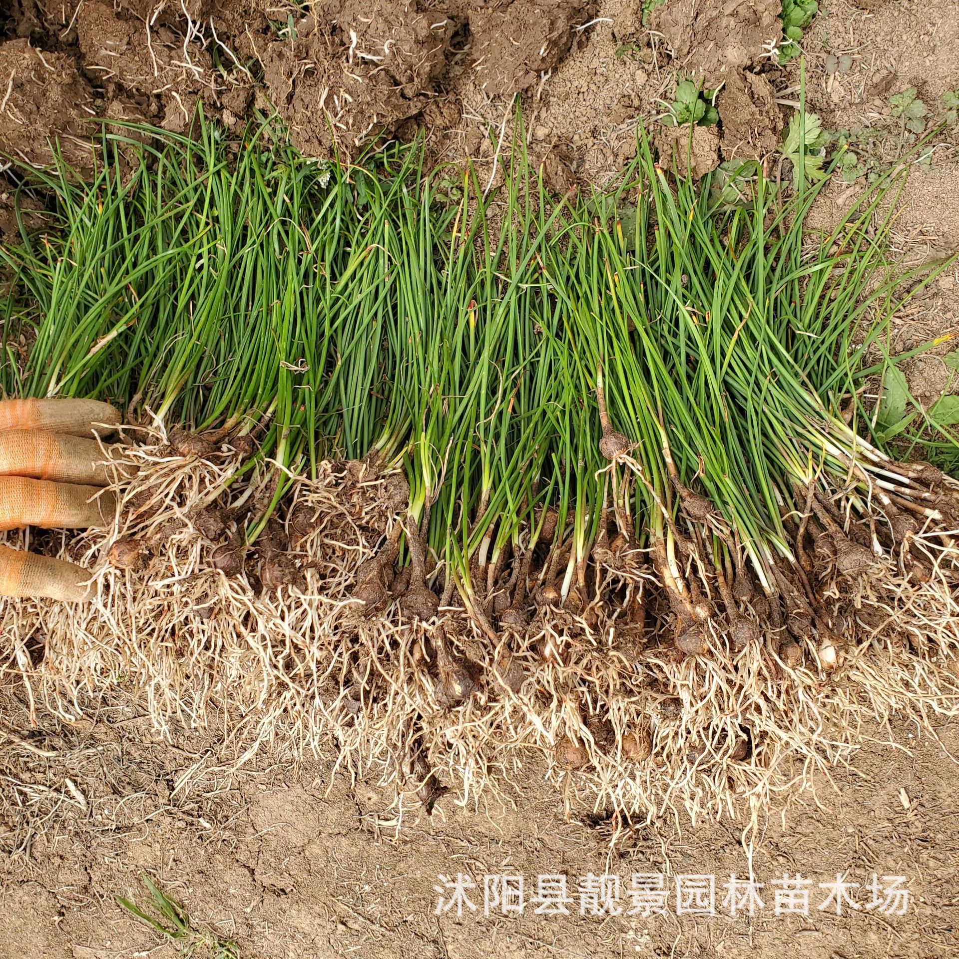 微信图片_20210418224546