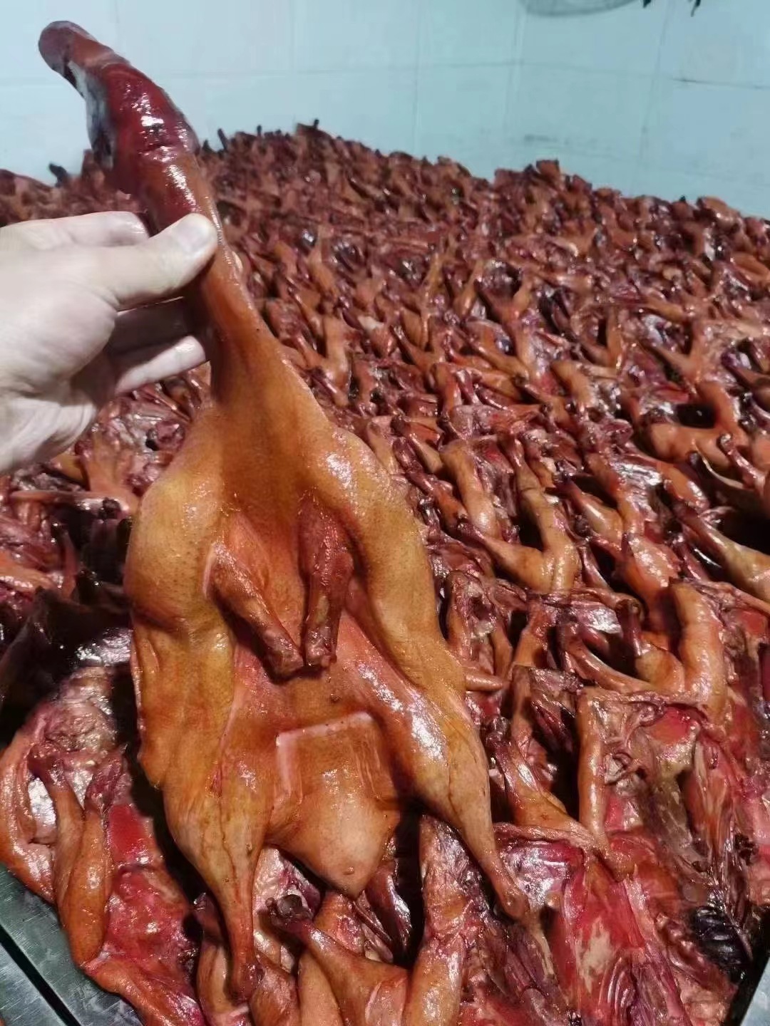 919e11c06bb14c1b8e2e04d8846832