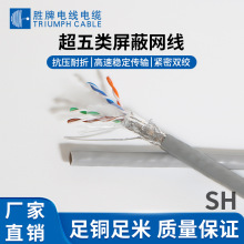 ���� ��������ξW��CAT5E�����Pӛ��·�����C픺м��þW�j�B�Ӿ�