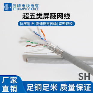 ���� ��������ξW��CAT5E�����Pӛ��·�����C픺м��þW�j�B�Ӿ�