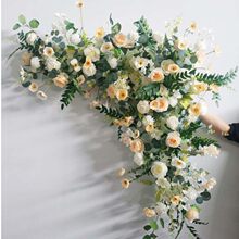 �¿��c����ɭϵ·�����컨�����b��c�������ƺ��Y��ˇ