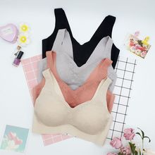 �����ձ����Qԭ���AһƬʽ�o�۟o�Ȧ���ؾ۔n�������m͸�����Ů