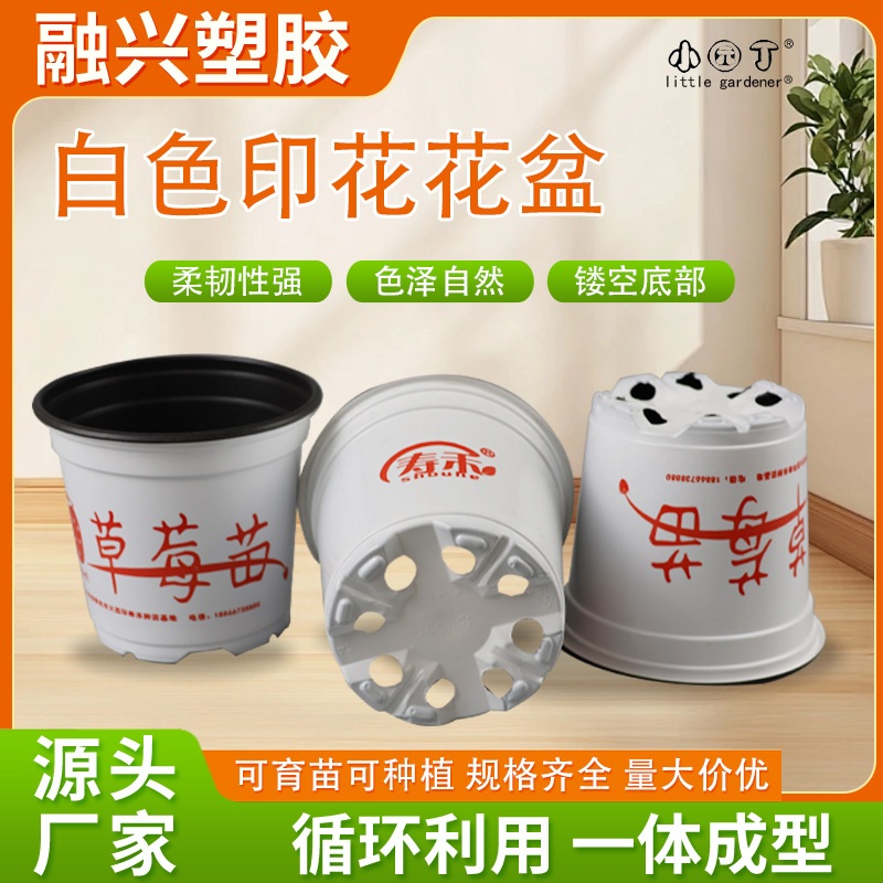 White plastic durable breathable flowerpot