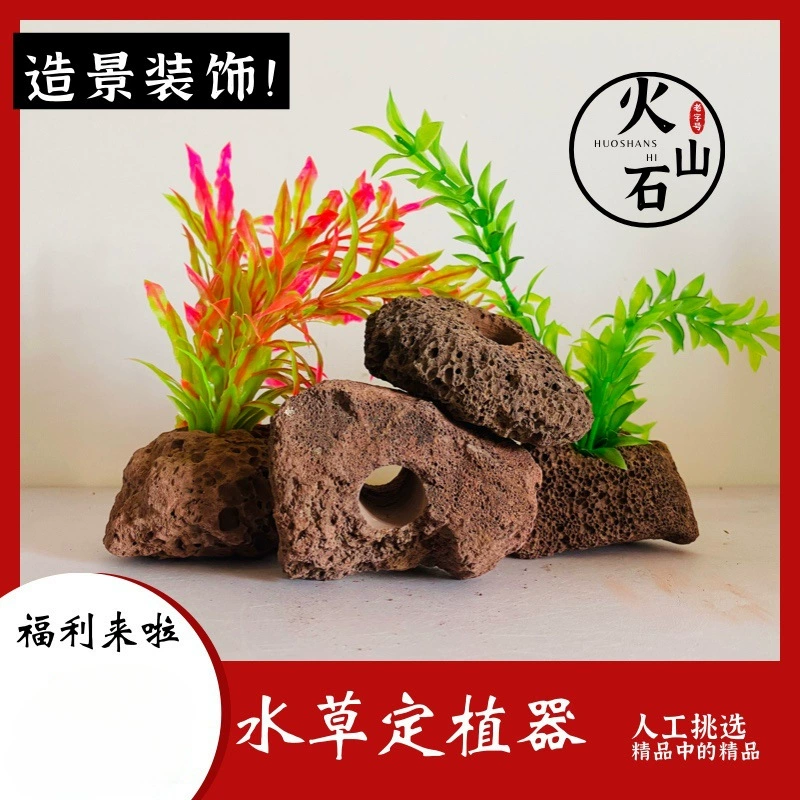 Водяная трава фиксированная посадка красный вулканический камень Водяная трава посадка кольца аквариум ландшафта декоративная водная трава посадка основания