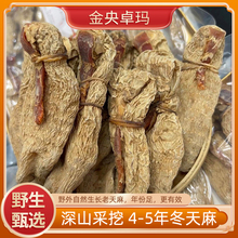 ضҰؼƬ۷rؼșĹٷŞ