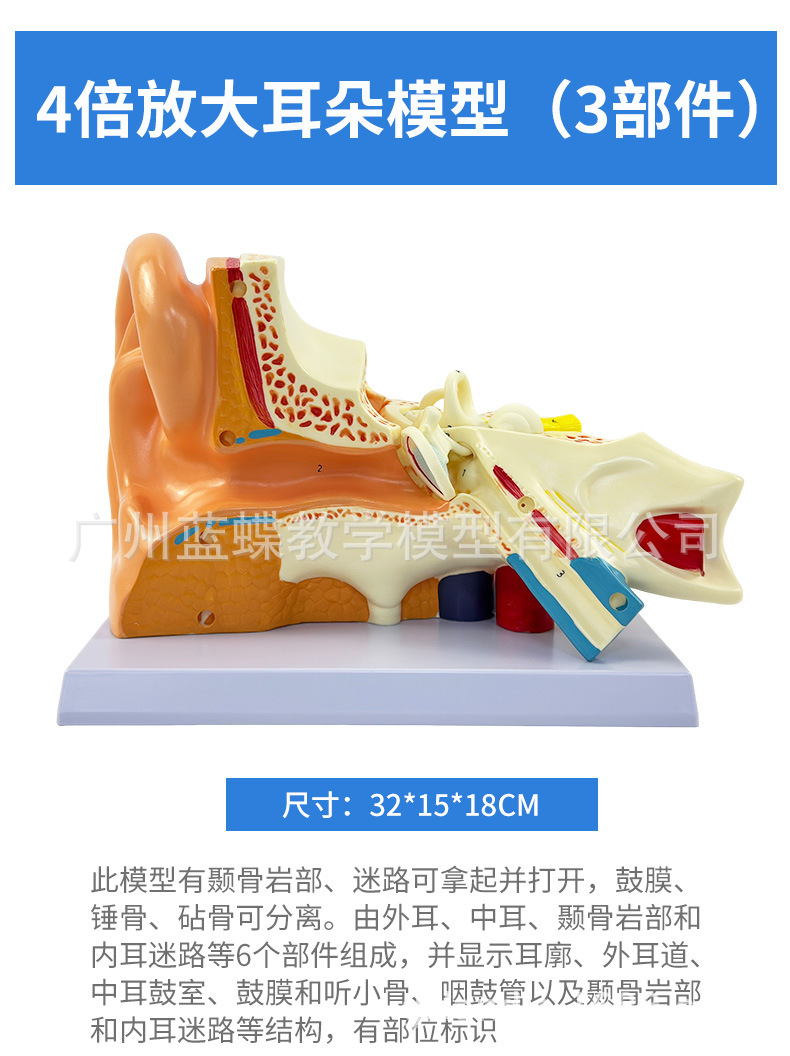 详情 (18)