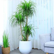 ��Ѫ�������p�����Ӵ�����횘��҃��k���҃����՚���B�����ֱ�l