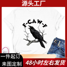 ���R�debay����վ�r�ւ���ȤζŮʿf-caw-f�A�I����T�������