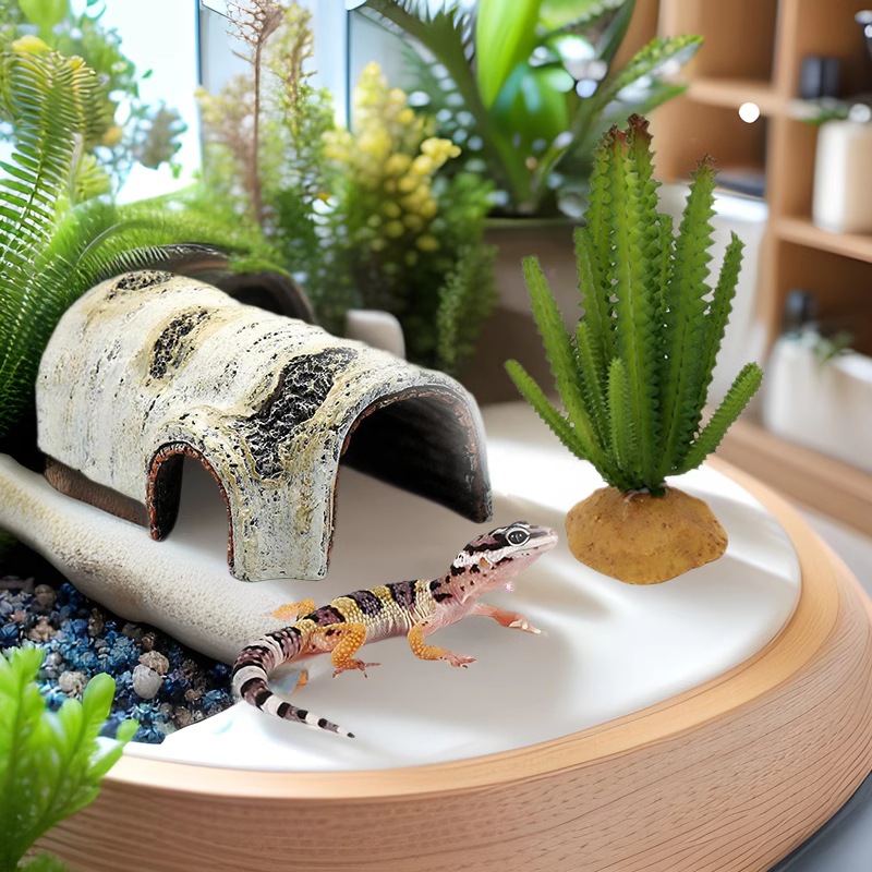 Las mascotas trepadoras evitan la cueva, la tortuga, la terraza, la lagartija, el palacio, la casa, el escorpión, la araña, el reptil, el paisaje, la corteza, la plataforma trepadora