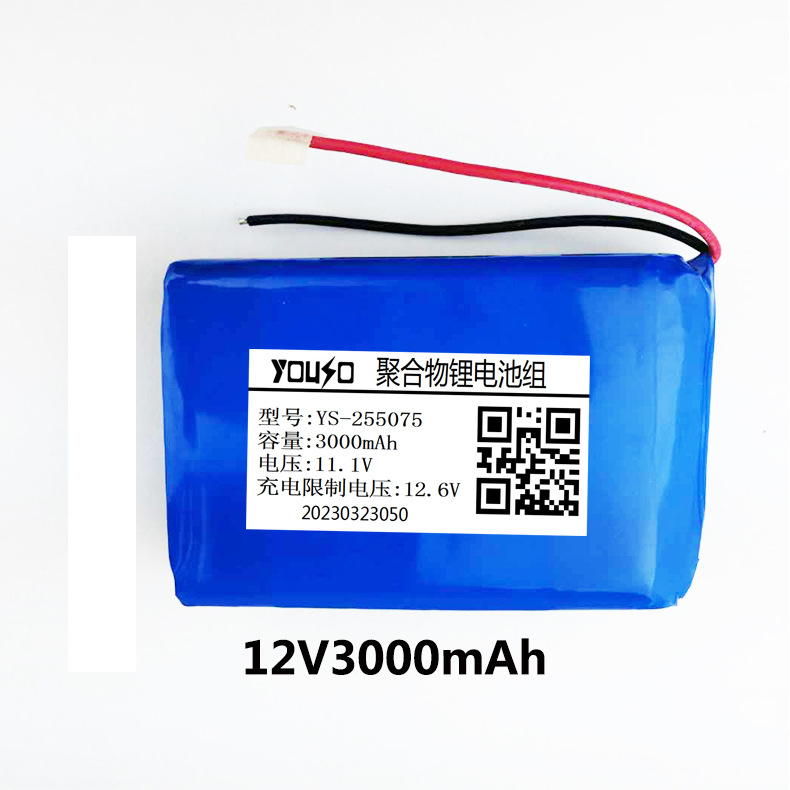 12V3500mAh/3000mAh�ۺ���﮵���鰴Ħ�ǵ��LED�Ƶ���������
