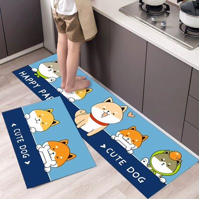 Bathroom Mats Thickened Foot Mats, Avtomobil döşəmə paspasları - qysc-169-4060cm