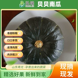 辣椒彩椒;瓜果类