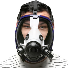 Dawei gas mask full face mask spherical large field of view silicone spray paint chemical anti-formaldehyde fire protection gas mask