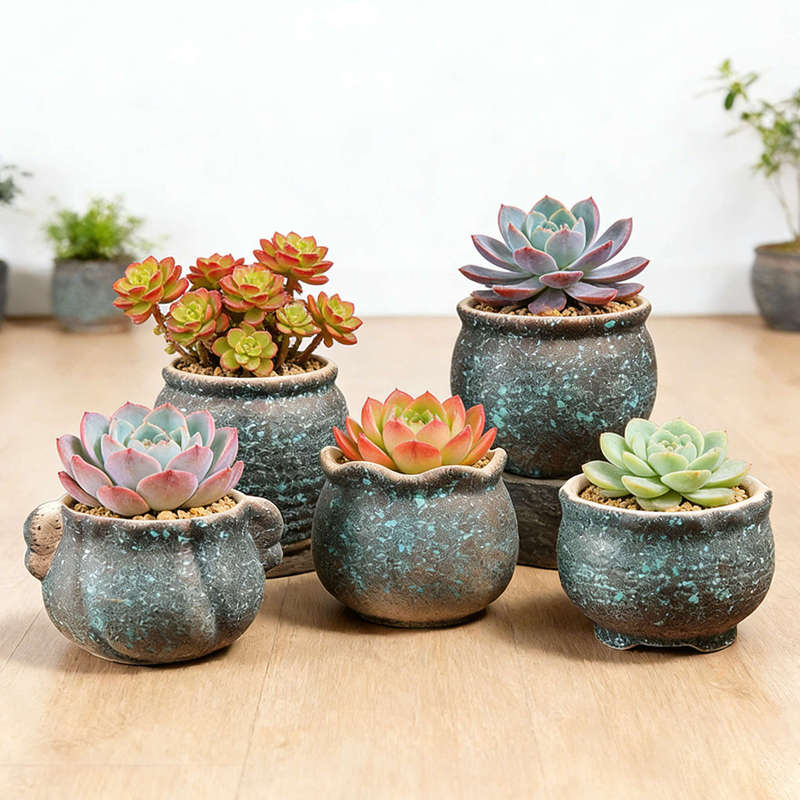 Clearance Sale: Coarse Pottery Ceramic Hand-Painted Succulent Flower Pots, Vintage Creative Tabletop Pots, Clearance Sale Breathable Terracotta Flower Pots Clearance Sale: Coarse Pottery Ceramic Hand-Painted Succulent Flower Pots, Vintage Creative Tabletop Pots, Clearance Sale Breathable Terracotta Flower Pots