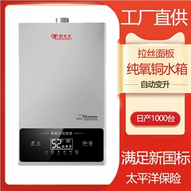 燃气热水器;燃气灶具;家用采暖炉