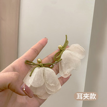 �ɚ�����ѩ�������Y������A�o����2024���¿�����|��С���OӋ��