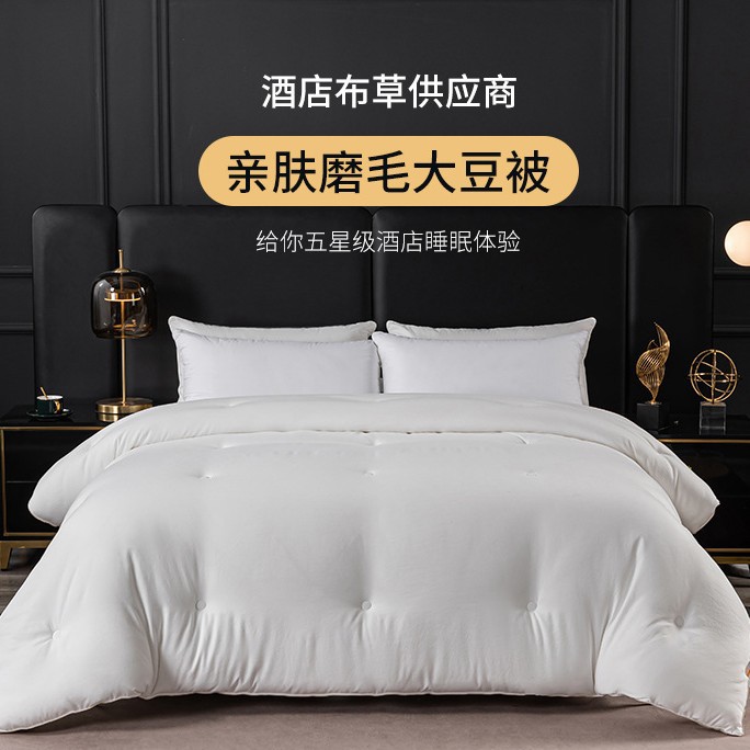 Pure White Skin-Friendly Brushed Hotel Quilt B&B Quilt Core Single and Double Thin Quilt Thick Quilt Light and Cool