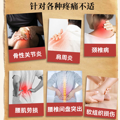 Wang Tailin Original Manufacturer Snow Lotus Pain Relieving Plaster Cross-border Best-selling Product Wholesale Retail Trade Show Traveling Jianghu Plaster