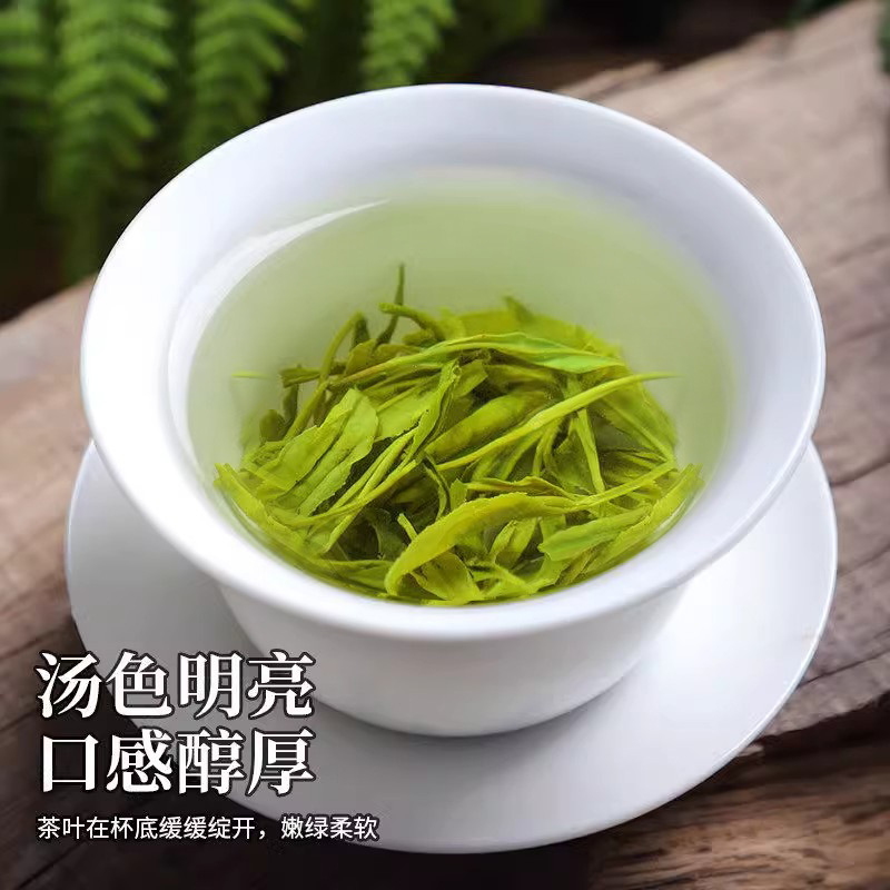 【爆款】高山绿茶毛尖新茶春茶浓香型茶叶散装袋装正宗春茶