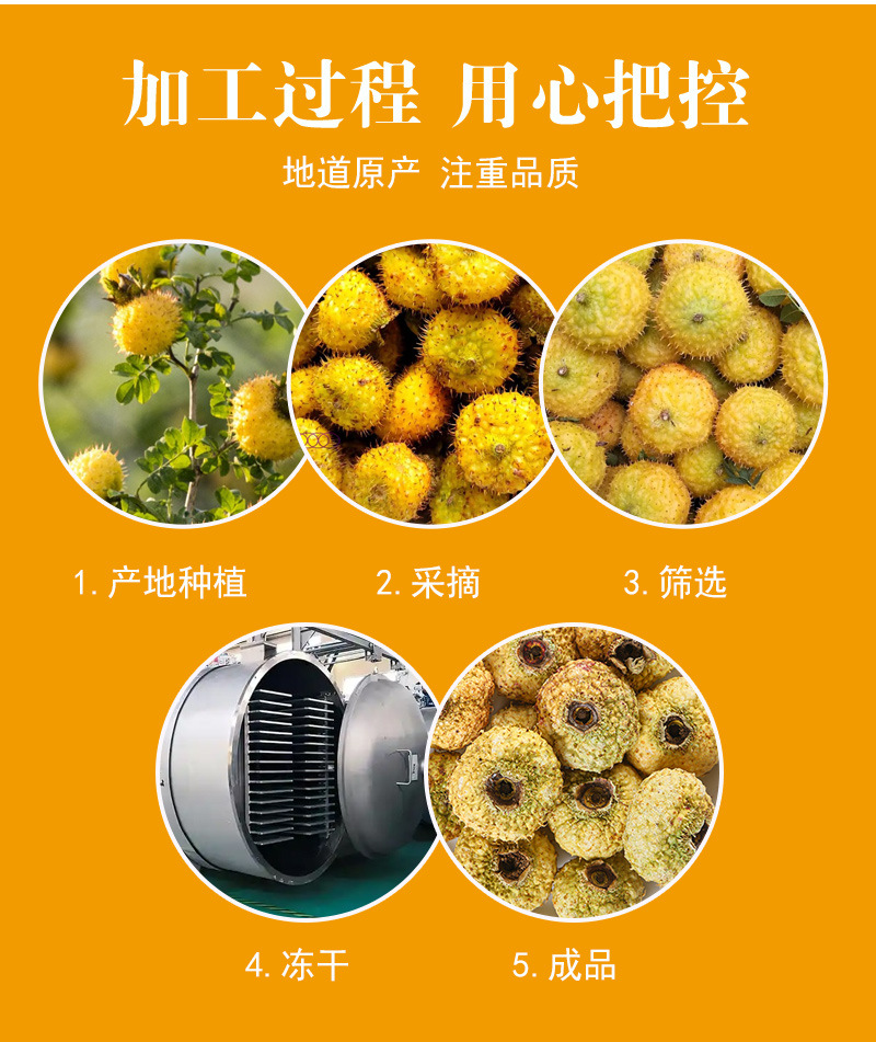 Freeze-Dried Ci Li (Rosa roxburghii) — Guizhou Cili Fruit Tea, Loose Bulk 500g preparation