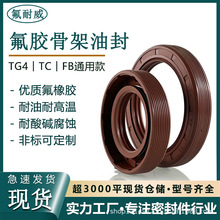 厂家直销TG4/TC氟胶骨架油封内径10/12/14/15mm耐高温唇形密封
